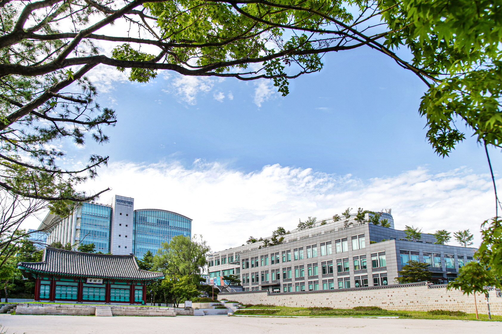 Catholic Kwandong University — Gangneung